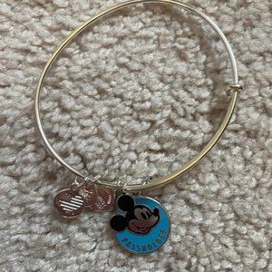Alex and Ani Disney Passholder Bracelet